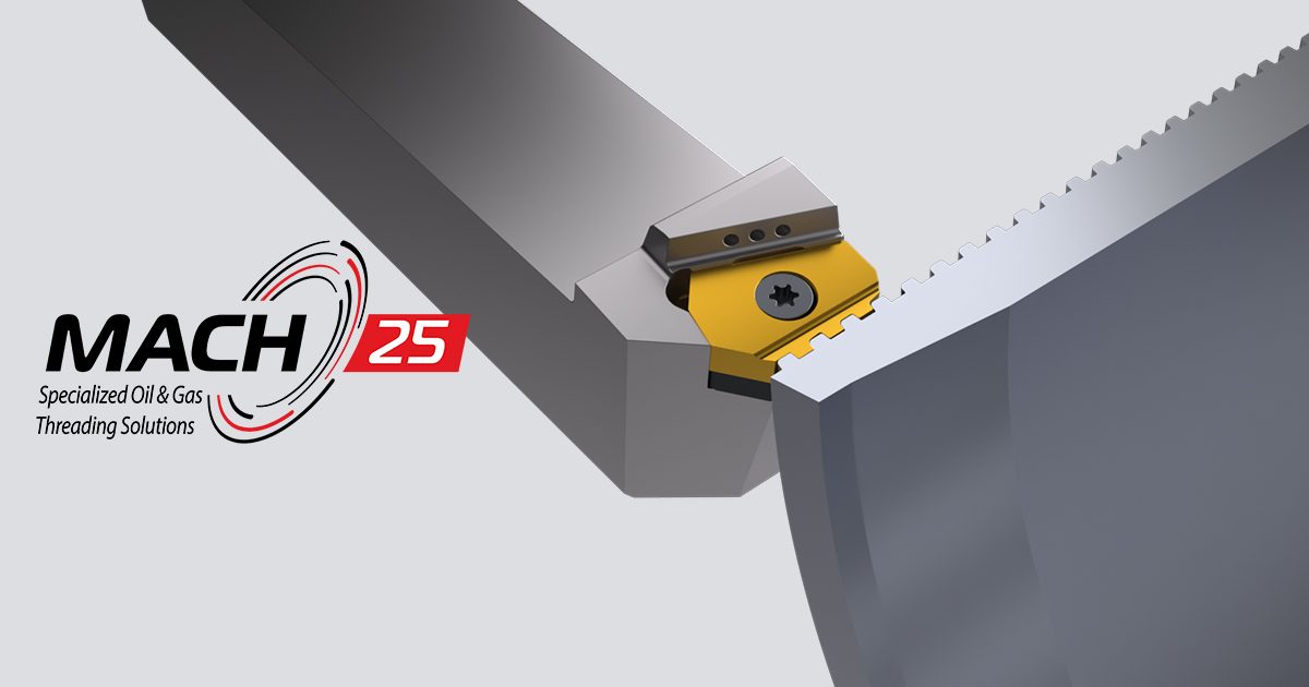 クロクマ　Fergus クロクマ Fergus